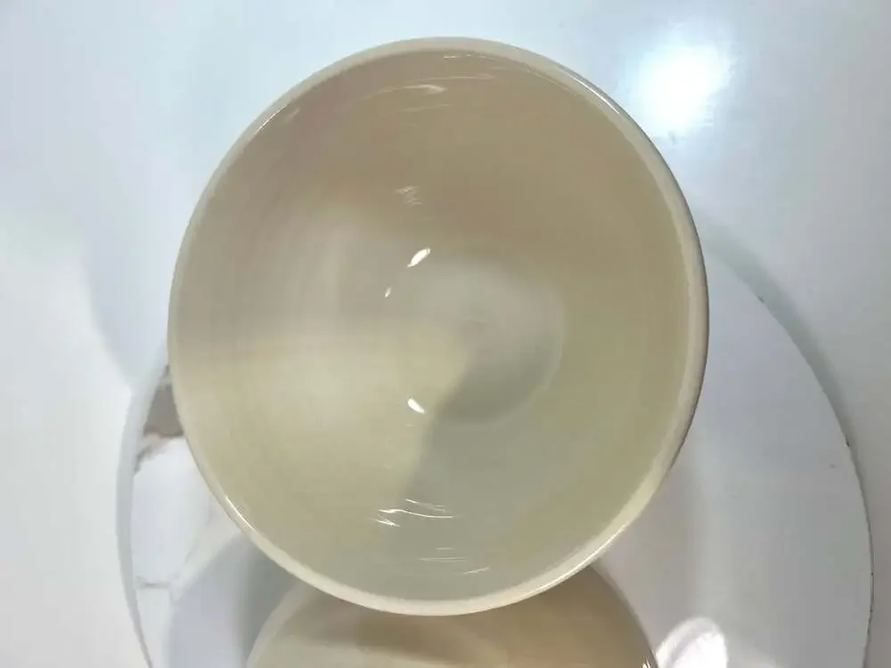 Pier One Imports Blue Hibiscus Flower Stoneware Bowls Set of Two